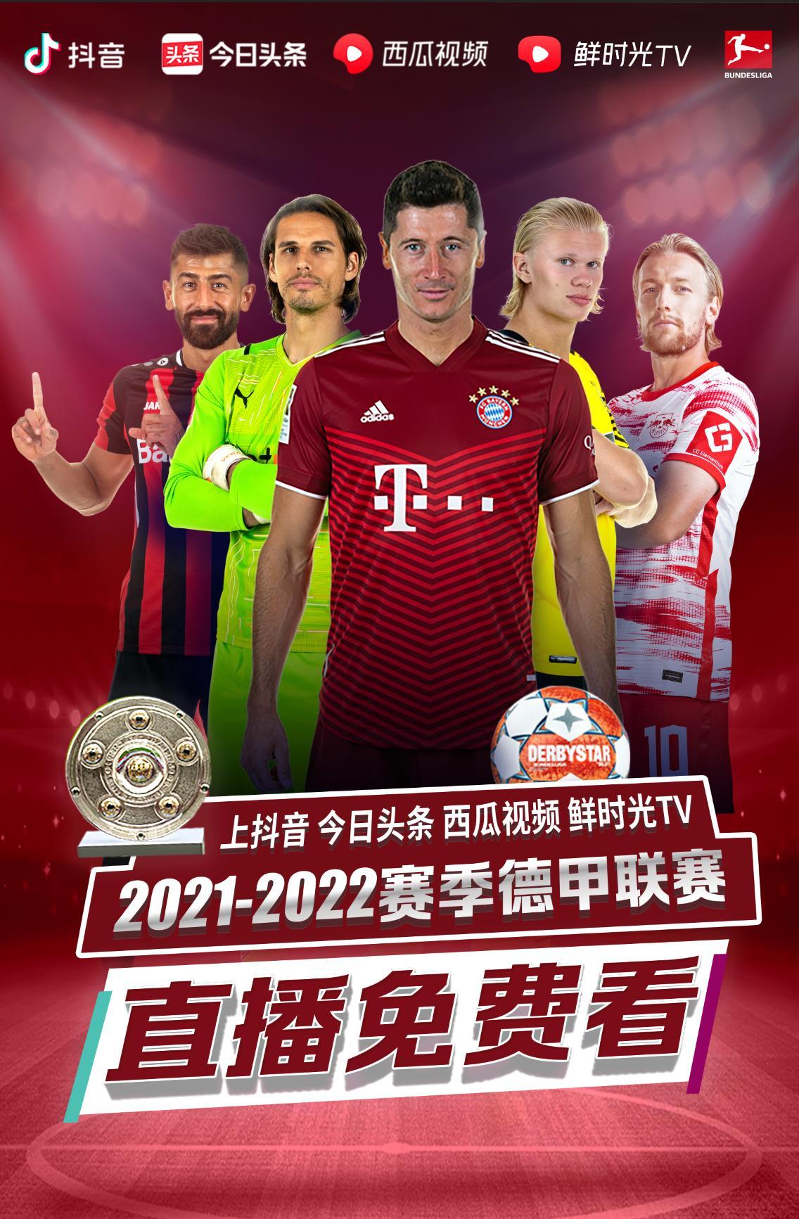 赛理解的深